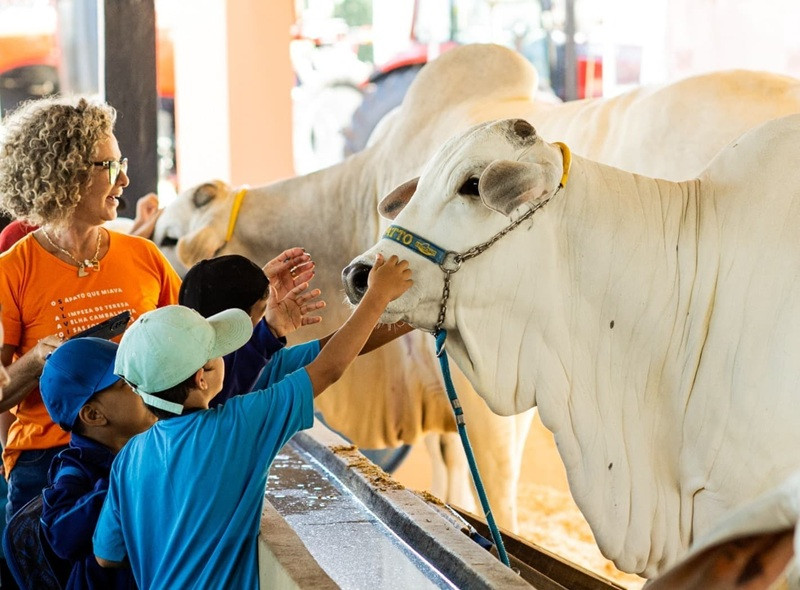  (Arquivo ExpoLondrina)